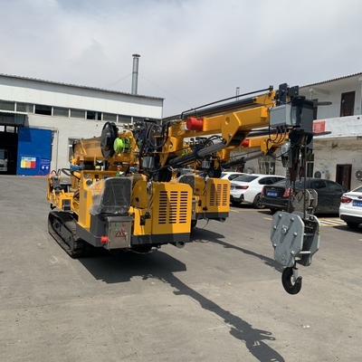 Customized Spider Crawler Crane Diesel Engine And Electric Dual Power