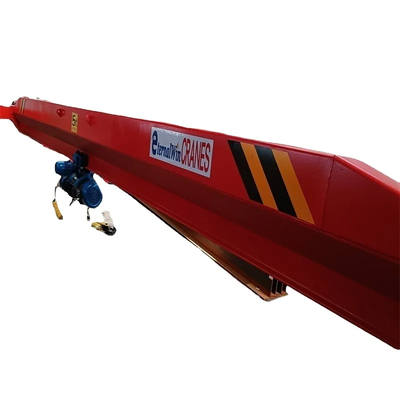 Control Method Pendent Control/Remote Control Overhead Hoist in Customized Color